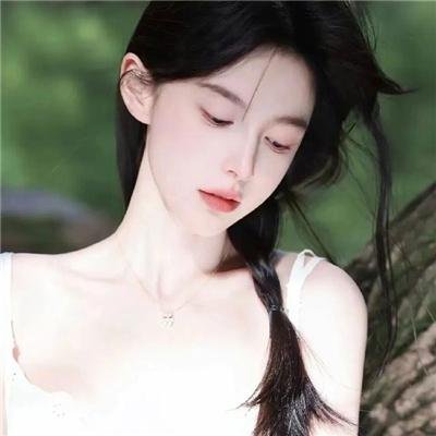 完美伴侣